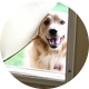 French doors with pet door